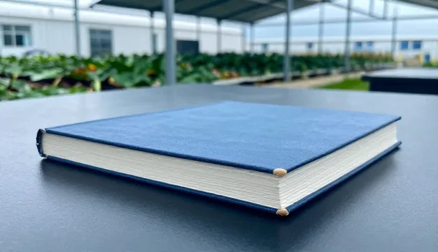 定制家具：注重选材质量的选择依据分析